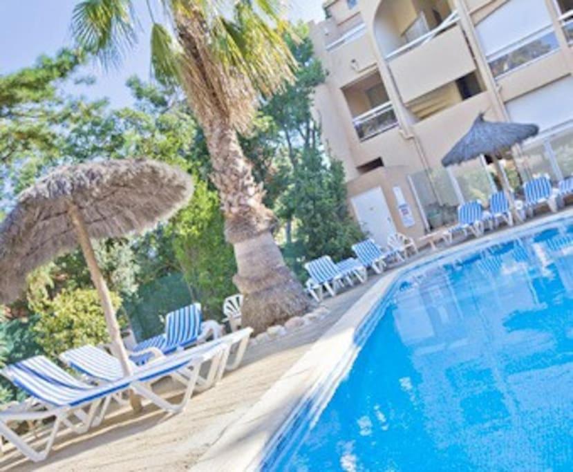 Studio/F1Bis A 50 M De La Plage Argeles-sur-Mer Exterior photo